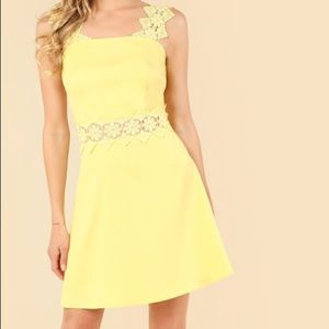 Lace Fit & Flare A-Line Dress